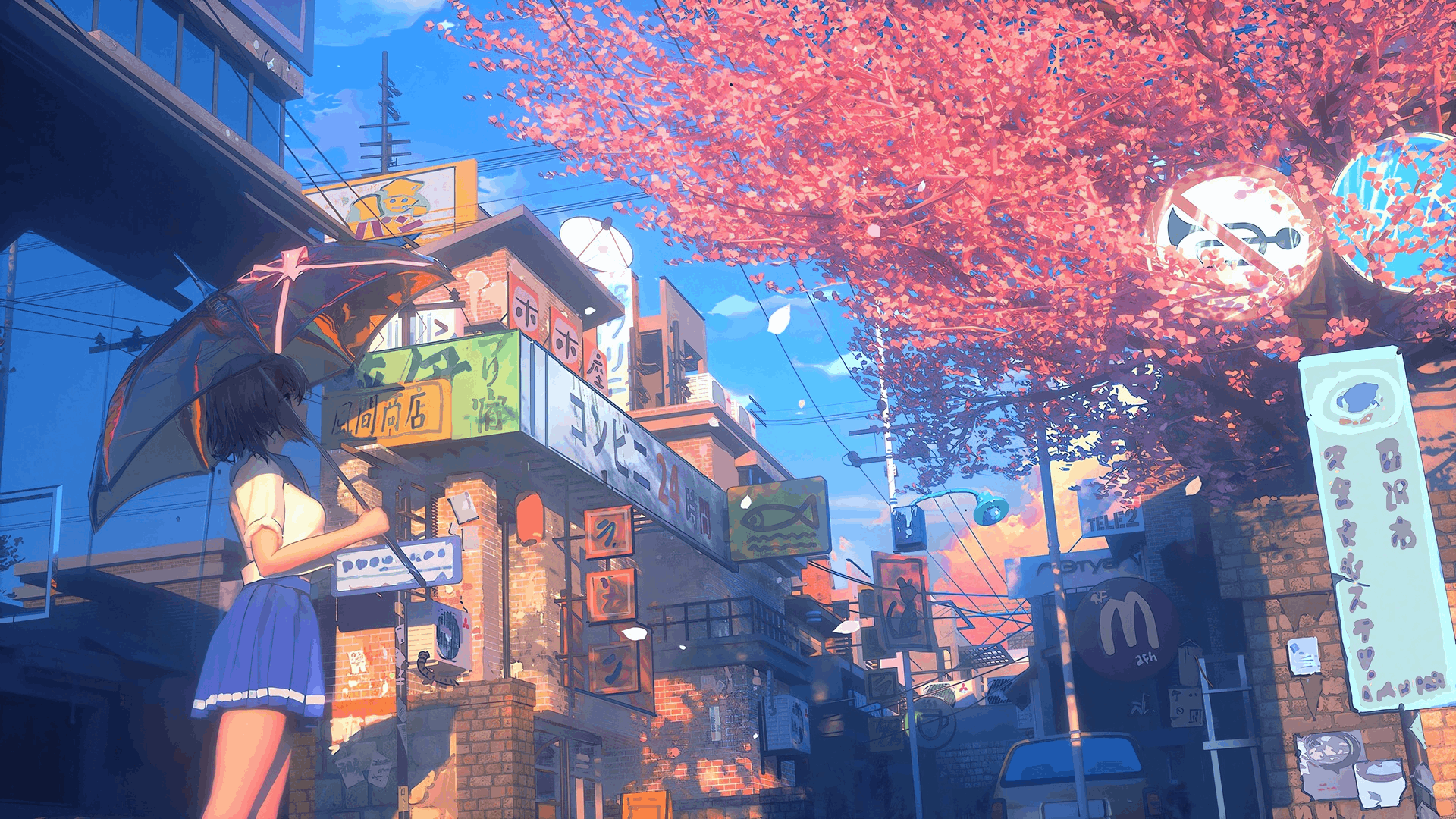 幻灯片-青鸾资源网